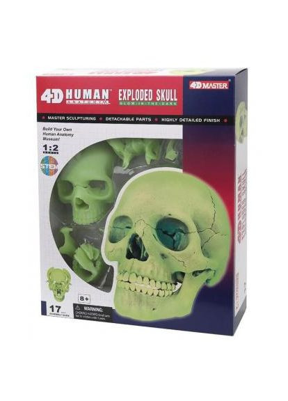Пазл 4D Master Об'ємна анатомічна модель Череп людини світиться (FM-626113) SKL Объемная анатомическая модель Череп человека светя (366067063)