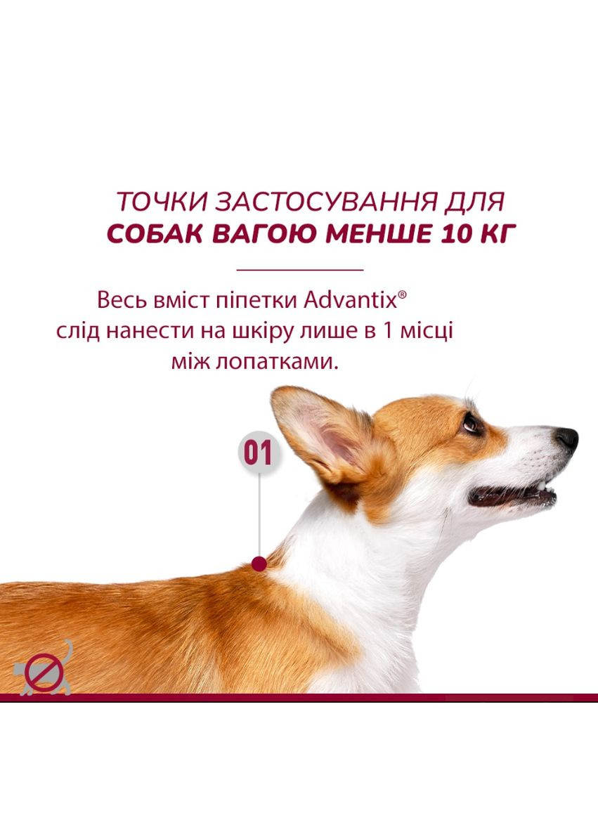 Краплі інсектоакарицидні Advantix для собак вагою 410 кг ЦІНА ЗА 1 ШТ 85910396 Elanco (289869684)