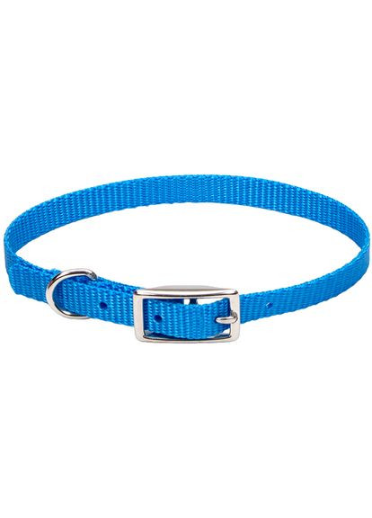 Нашийник для собак Nylon Web 1x25 см блакитна лагуна (76484733437) Coastal (332880040)