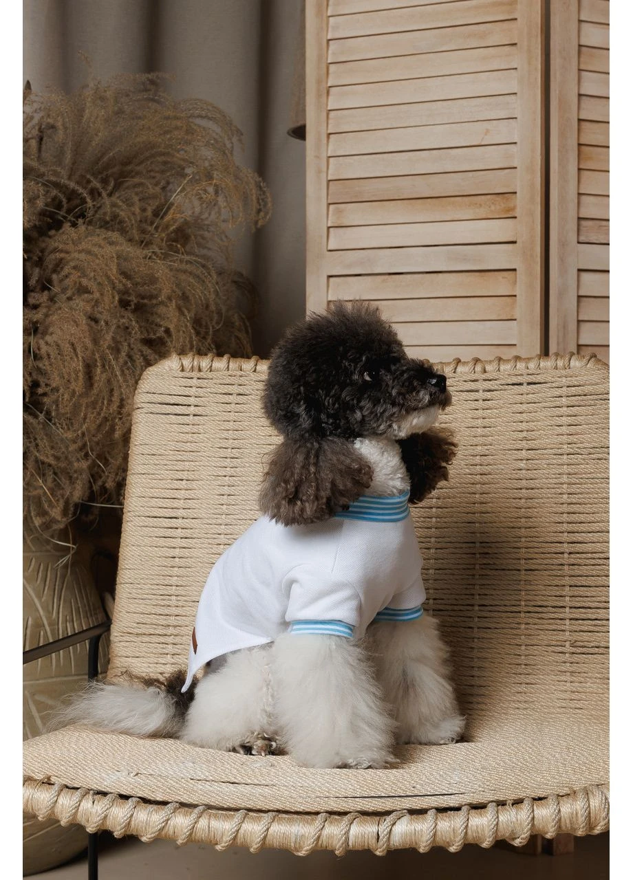 Футболка Polo для собак XS 4823082446377 Pet Fashion (391923951)