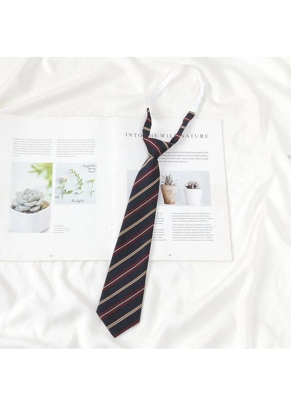 Галстук на резиночке (30к035/1) No Brand (369667341)