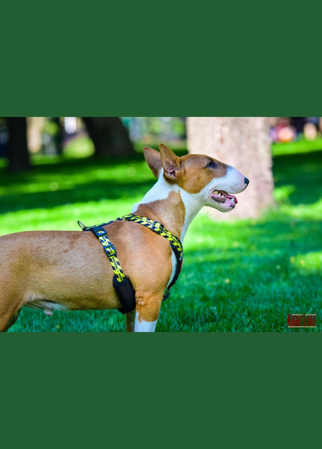 Шлея з нейлону з візерунком "WARNING", логотипом та пластиковою пряжкою 20 мм А:420-520 мм, В:500-630 мм Kareline (339074802)