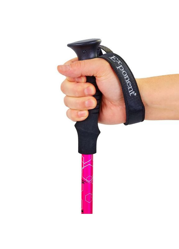 Палка трекінгова для скандинавської ходьби блакитна Exponent TY8019 SP-Sport (367837339)