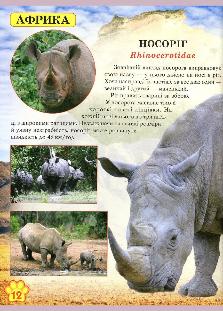 Світ навколо нас. Дикі тварини Кристал Бук (316081079)