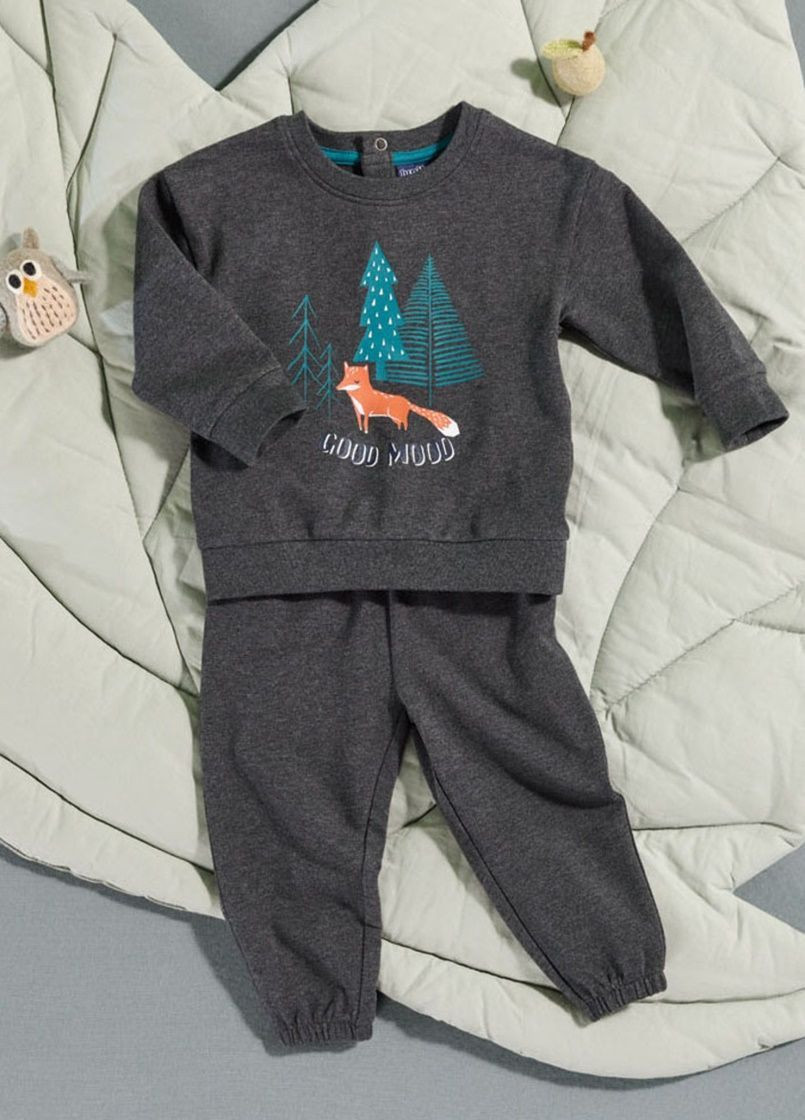 Темно-сірий демісезонний костюм (світшот і штанці) Lupilu