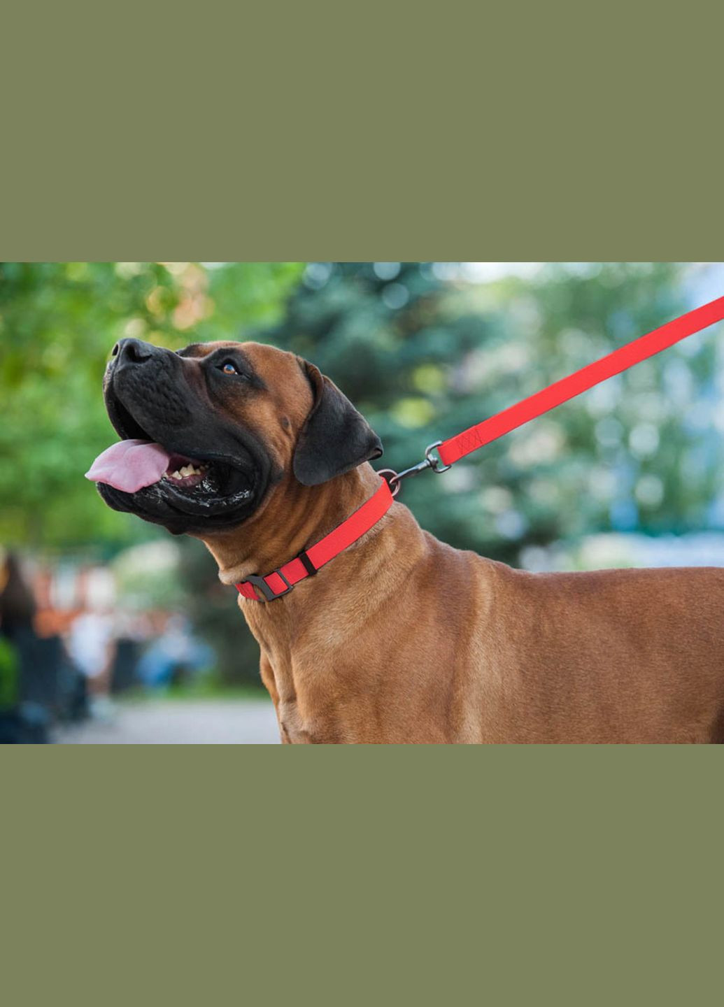 Поводок для собак водостойкий Waterproof, M, Ш 20 мм, Дл 122 см красный WAUDOG (322125033)