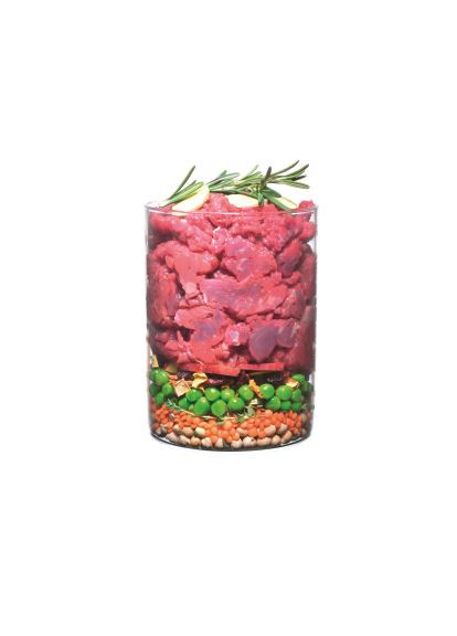 Сухой корм для собак (8595602546046) Carnilove True Fresh BEEF for Adult dogs 4 кг (369879967)