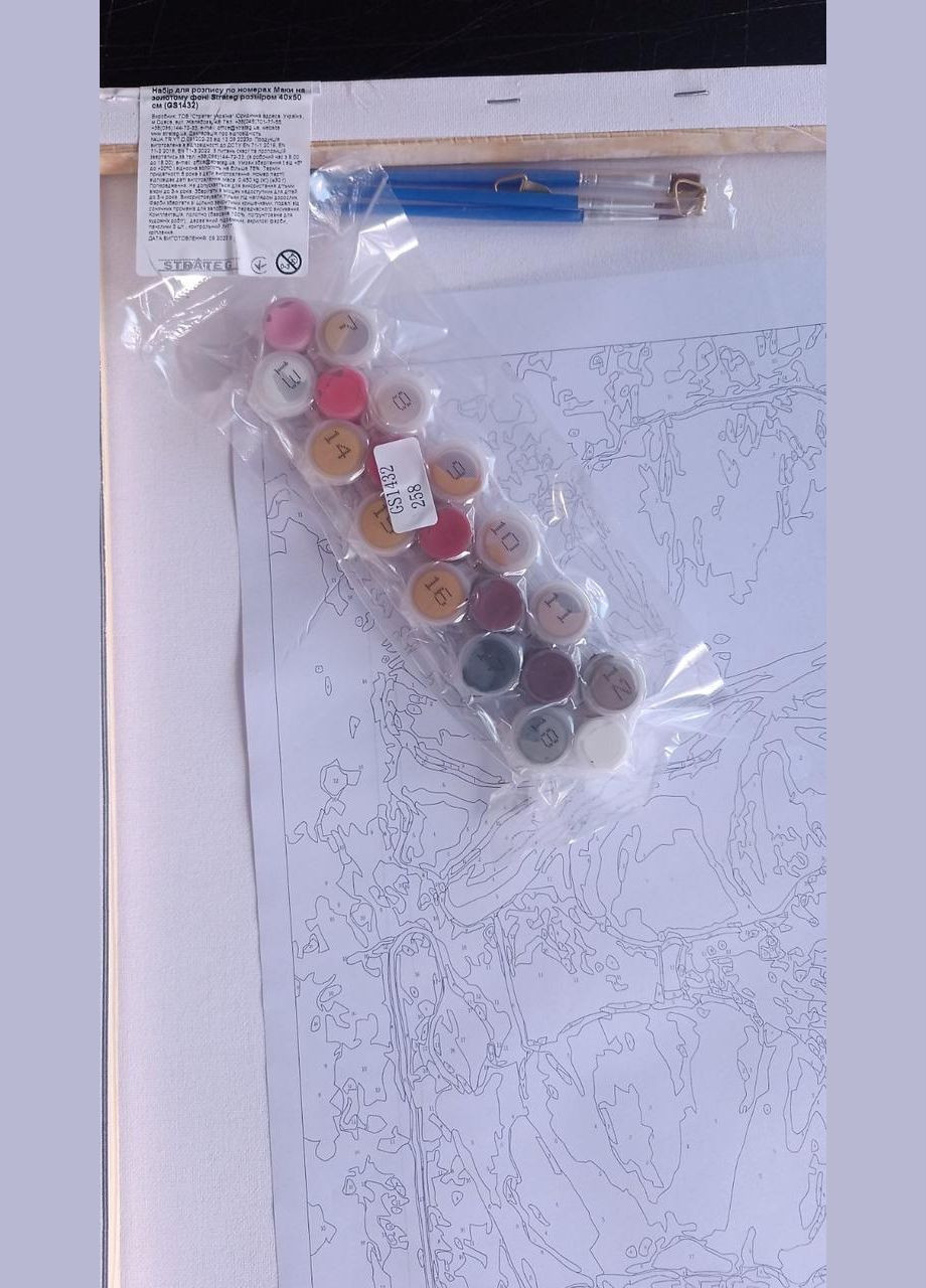 Картины по номерам цветы Набор для росписи на холсте Магические растения Живопись по номерам 40x50 с золотой краской GS1455 Strateg (308988094)