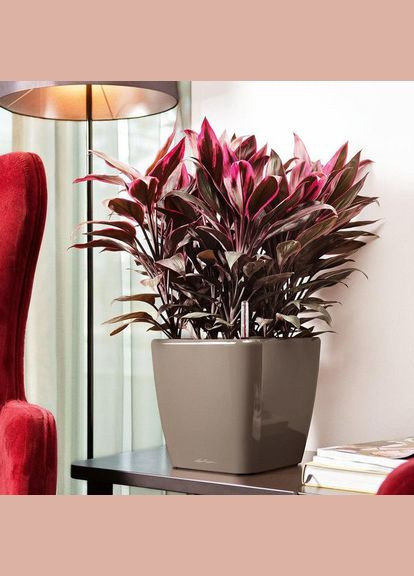 Розумний вазон Quadro Premium LS 28 8,5 л коричневий 16145 Lechuza (316618092)