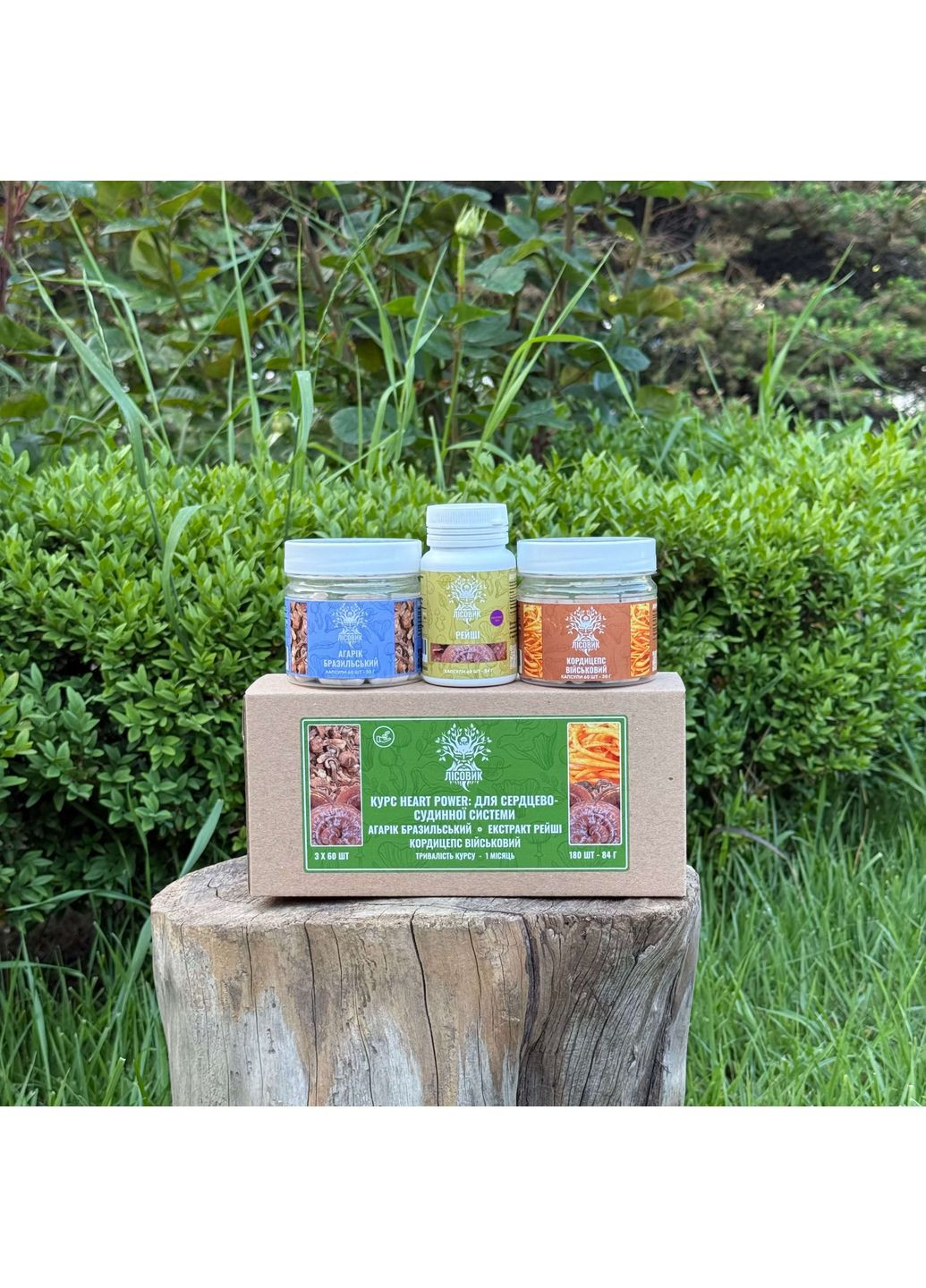Курс Heart Power: Для сердцево-судинної системи (1 місяць) Лісовик (334711142)