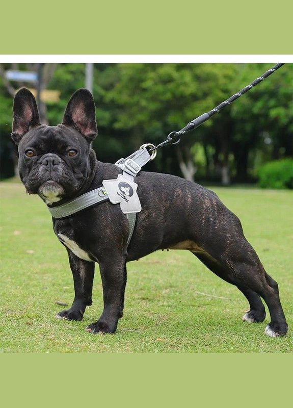 Шлея для собак, регулируемая нейлоновая шлея, Серый М (46-56 см) Duomm (301940165)