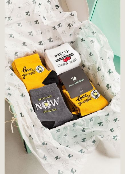 Білі набір шкарпеток 9 пар з написами organic cotton безшовні 38-40 JILL ANTONY (314997201)