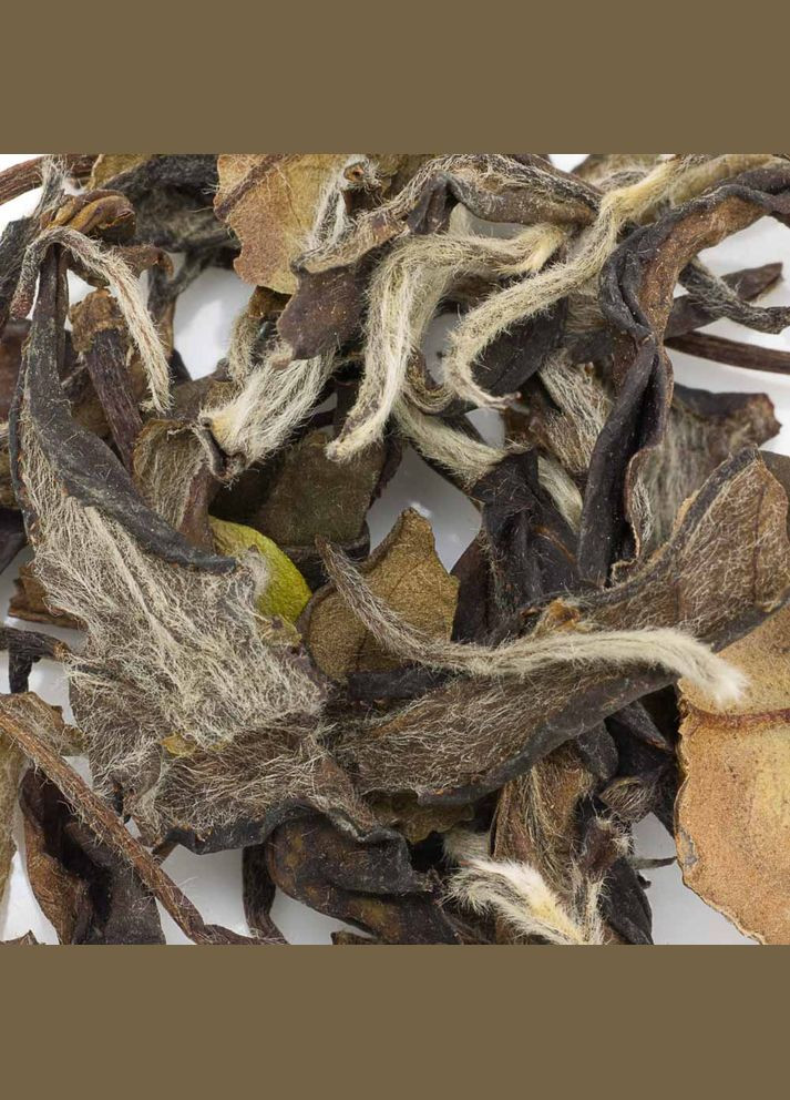 Бай Мудань - 50 г No Brand (305195992)