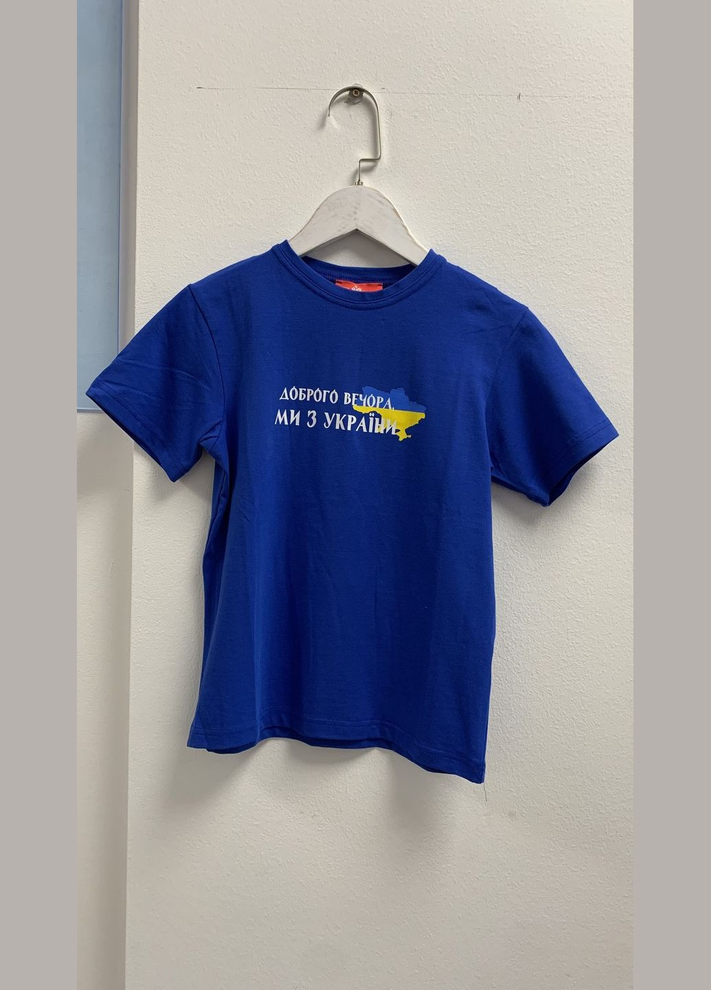 Блакитна демісезонна футболка Piccolo