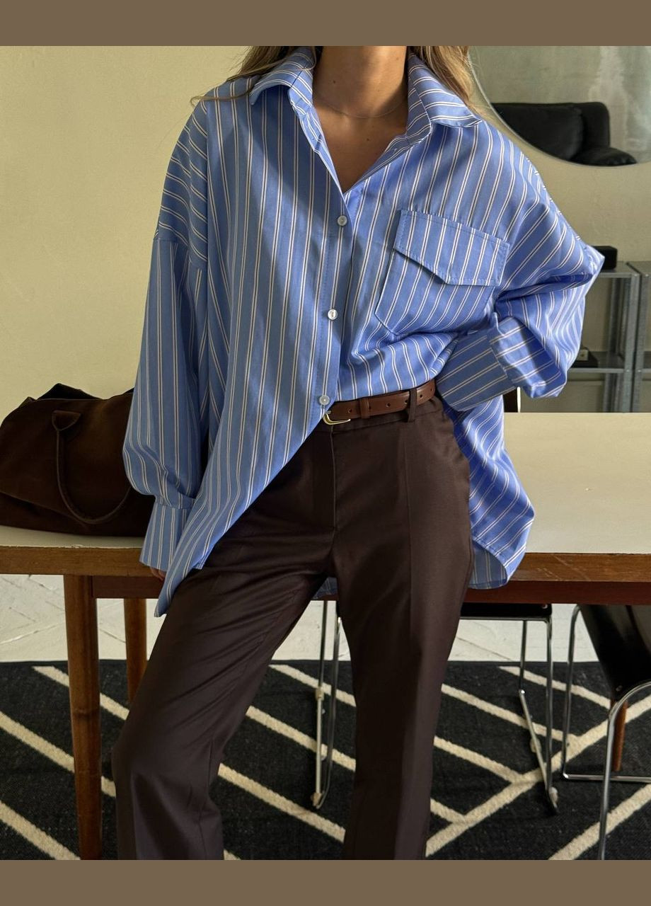 Голубой повседневный рубашка в полоску Україна с длинным рукавом