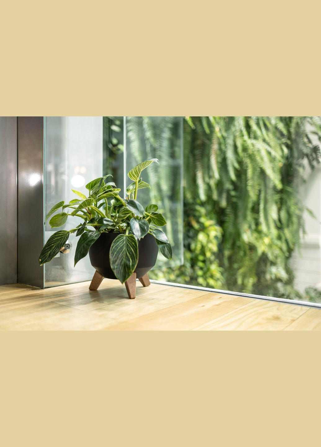 Чаша 290 антрацит, пластик Lamela Рома (345726184)