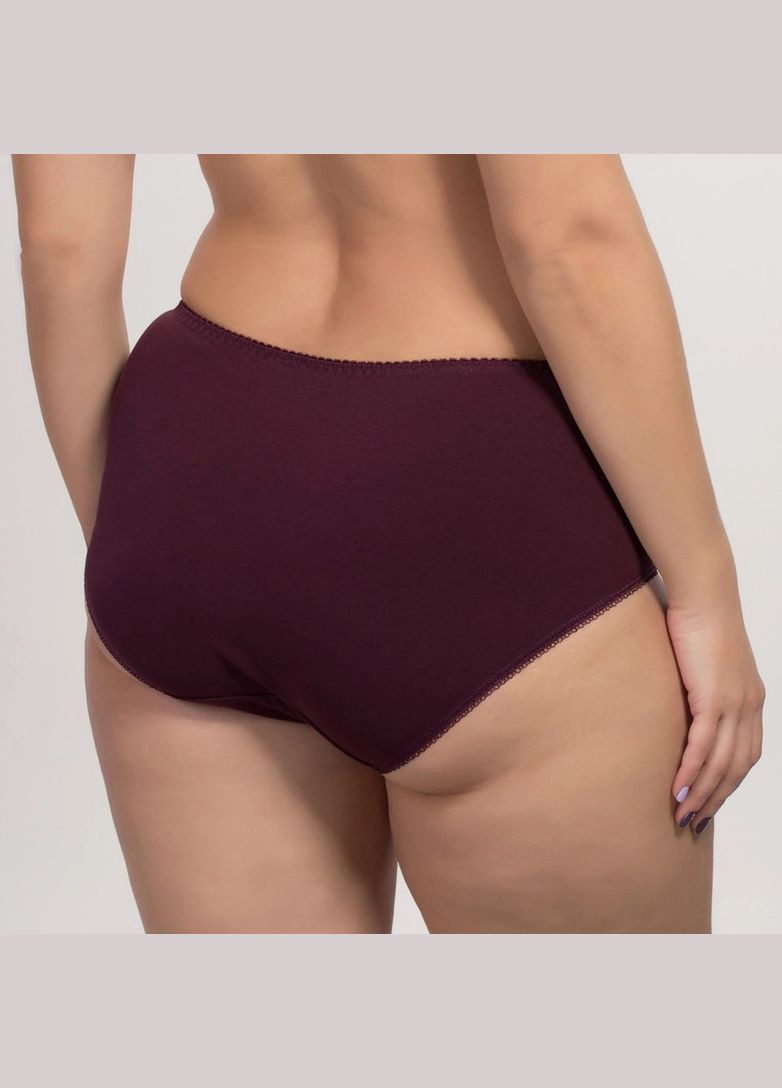 Хлопковые трусы Elita (302671843)