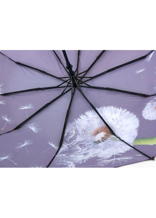 Фіолетова парасолька жіноча напівавтомат кульбабка bellissimo m638 на 10 карбонових спиць кульбаби фіолетовий середня (360898336)