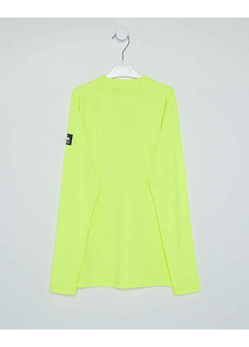 Лонгслів,салатовий з принтом, Abercrombie & Fitch (300318203)