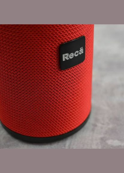 Акустична система AST-311R Red RECA (339082963)