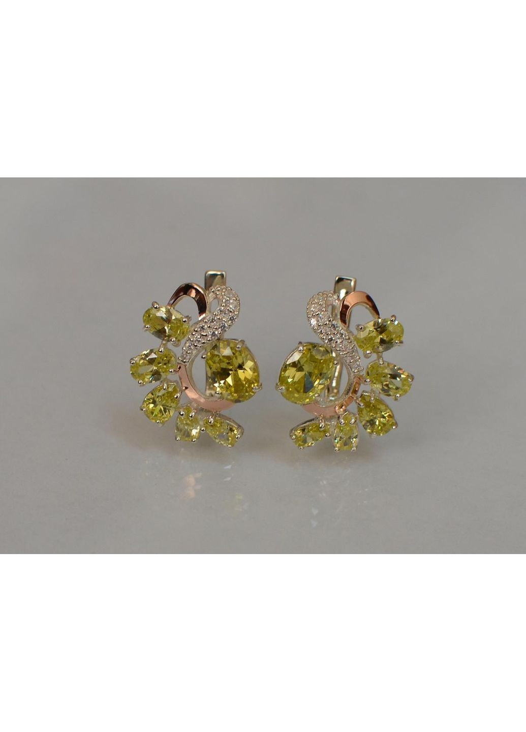 Срібні сережки з золотими накладками Silver Style (366813243)