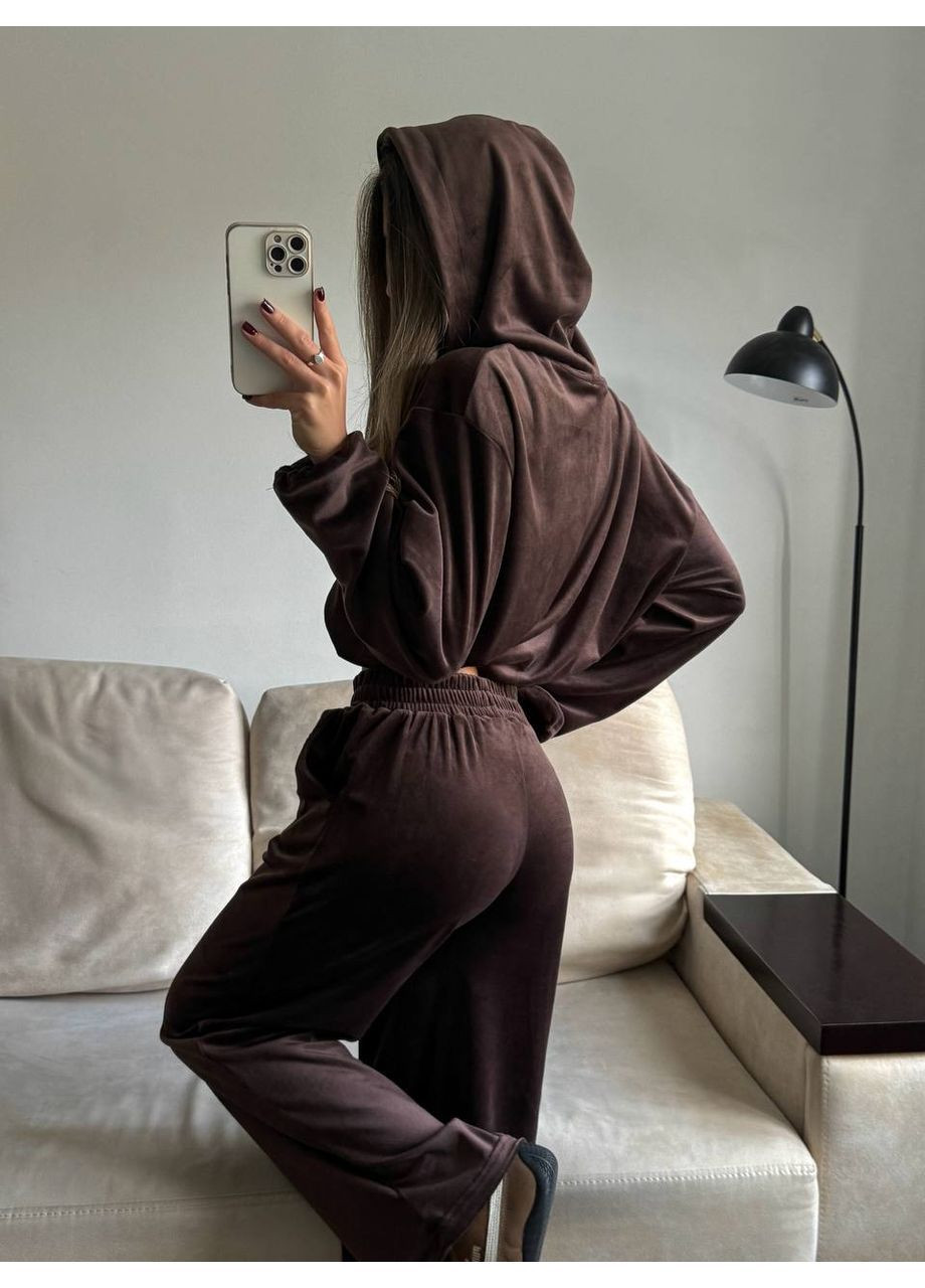 Женский велюровый спортивный костюм FINO Mode (366980578)