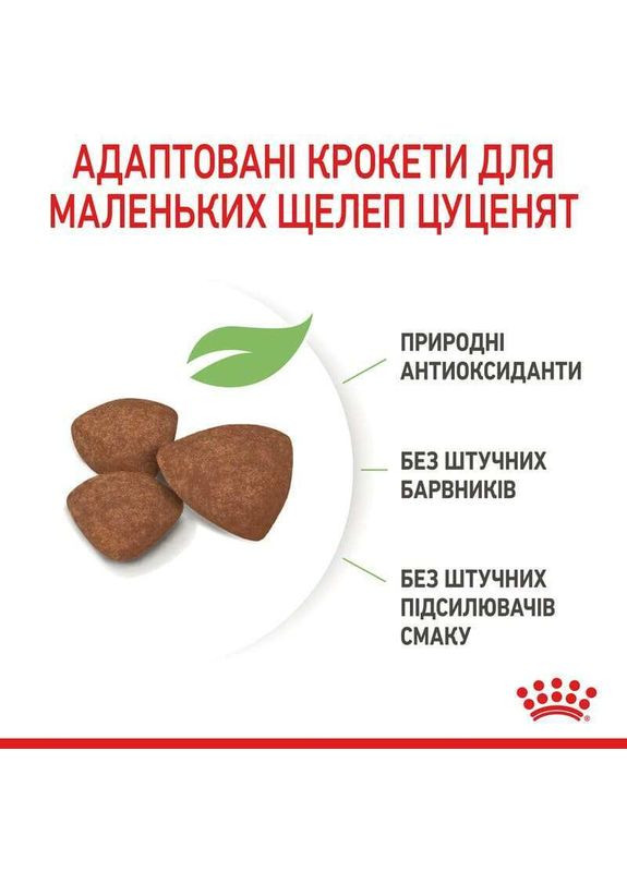 Сухой корм MINI PUPPY для щенков мелких пород 2 кг Royal Canin (280901516)