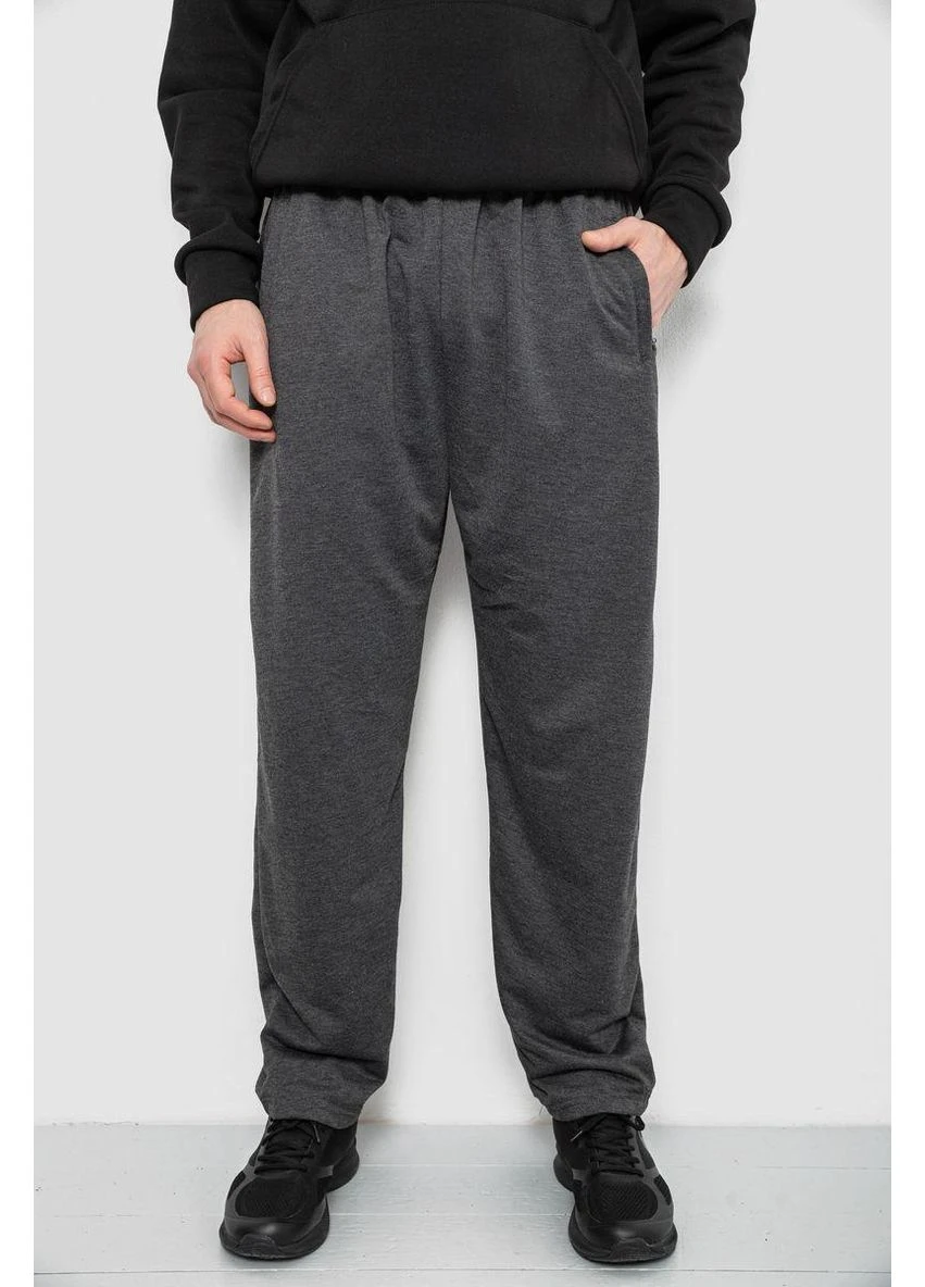 Спортивні штани чоловічі,, 244R41399 No Brand (376133793)