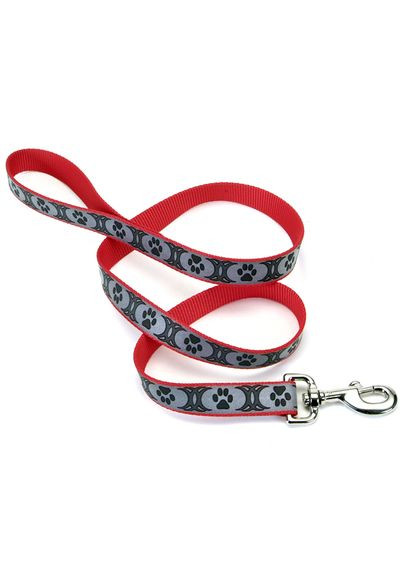 Світловідбивний повідець для собак Lazer Brite Reflective Leash 2.5 см х 1.8 м Бірюзовий (76484469701) Coastal (364751720)