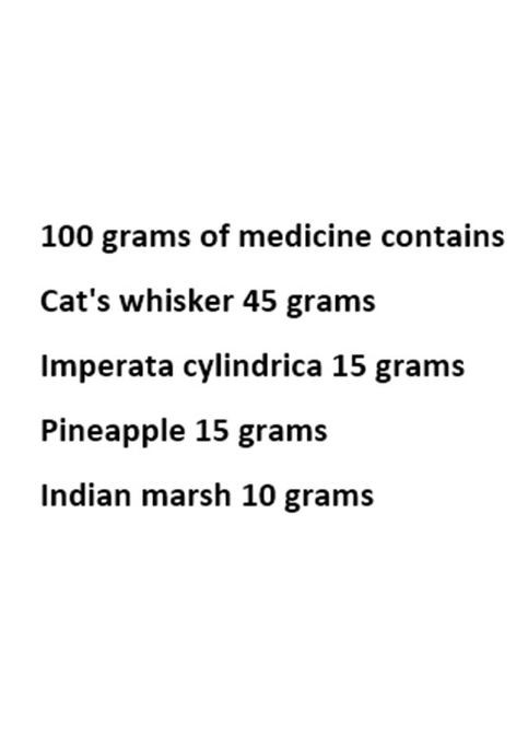 Compound Cats Whisker Capsule 100 Caps Thanyaporn Herbs (323081875)