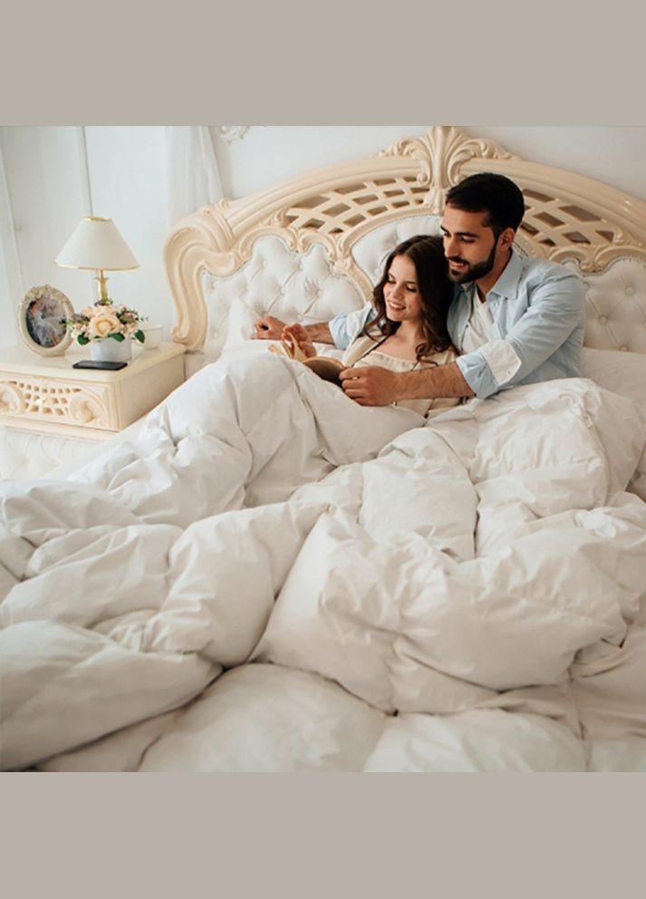 Ковдра Raffaello 053 зима+ 172x205 см 8061875 Mirson (316620449)