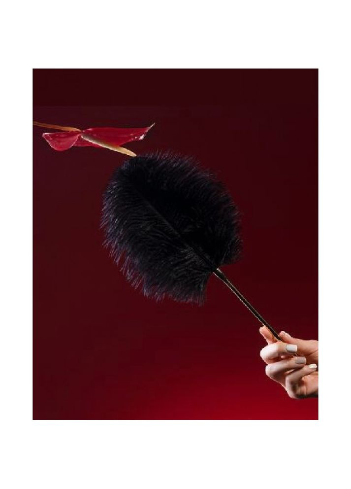 Набор для страстных вечеров "Лови момент" Carpe Diem Premium Bondage Set UPKO (297130403)