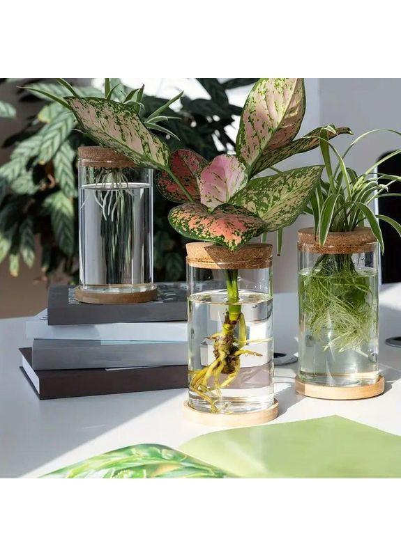 Ваза колба 3 шт. стеклянная, набор гидропонных ваз для укоренения и выращивания растений в воде с деревянной крышкой. No Brand (370290239)