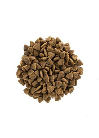 Сухой корм Cat GF Adult Activity Support для кошек, живущих на улице, индейка и курица, 2 кг (*) Brit Care (323219573)