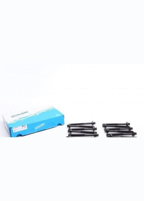 Комплект болтів гбц REINZ 14-32004-01 Victor Reinz (347160029)