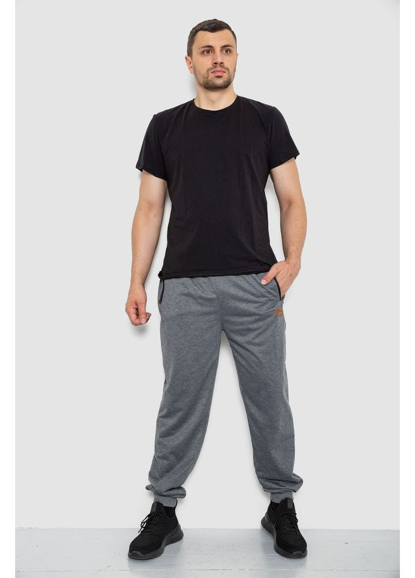 Серые демисезонные брюки Ager