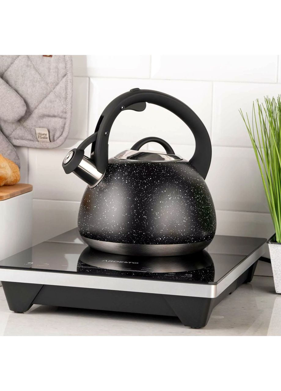 Чайник нержавеющая сталь 2.5 л Gemini Ardesto (364195660)