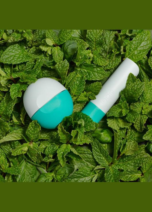 Набір бальзамів для губ Lip Balm Garden Mint flavor Садова м'ята (2 предмети) EOS (278773634)