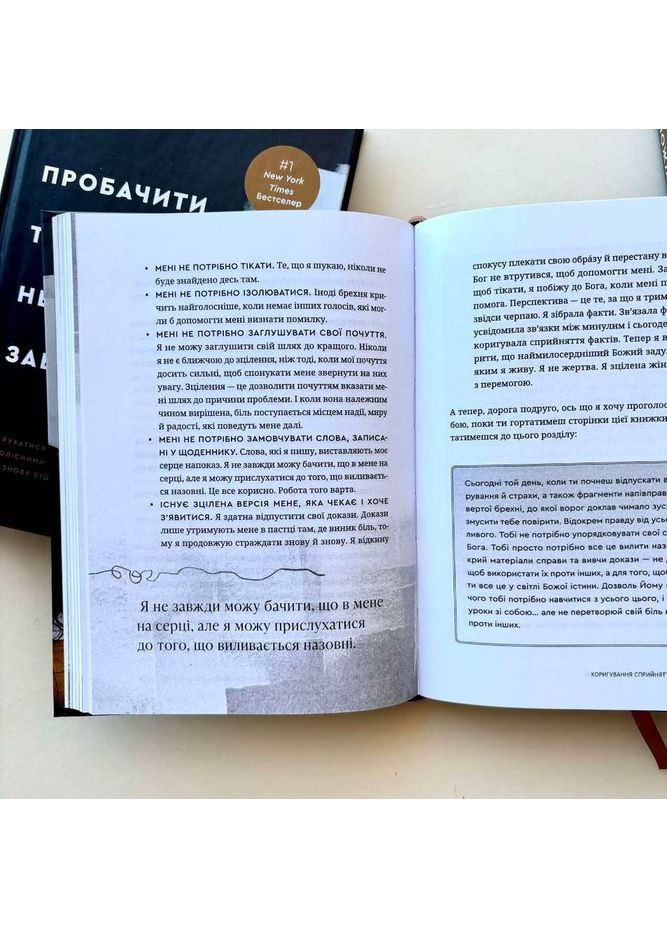 Простить, что невозможно забыть. Теркерст Лиза Свічадо (354253184)