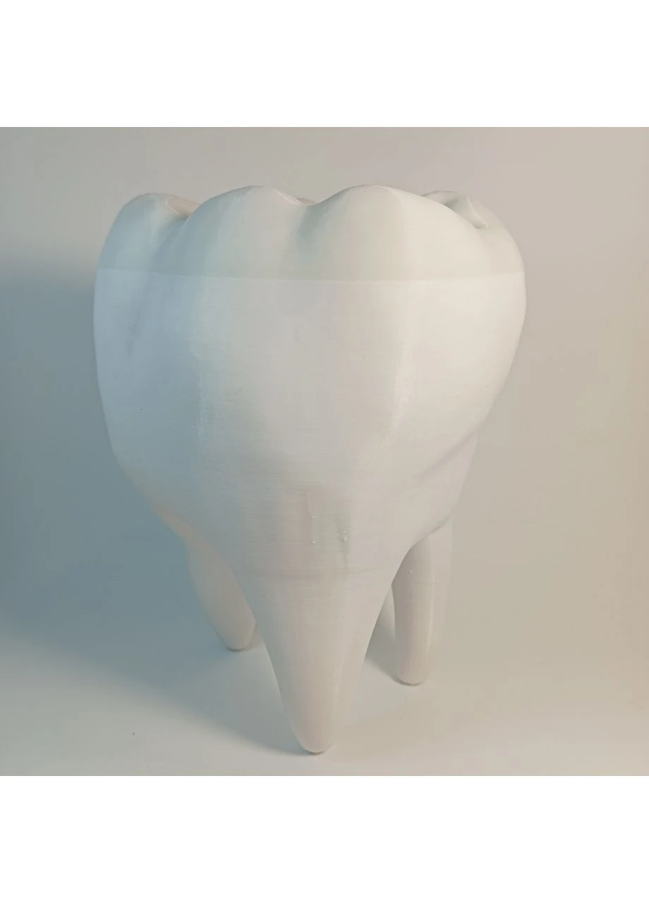 🦷⚙️ Декоративна модель зуба «Tooth» 15 см 3D-друк No Brand (388368850)