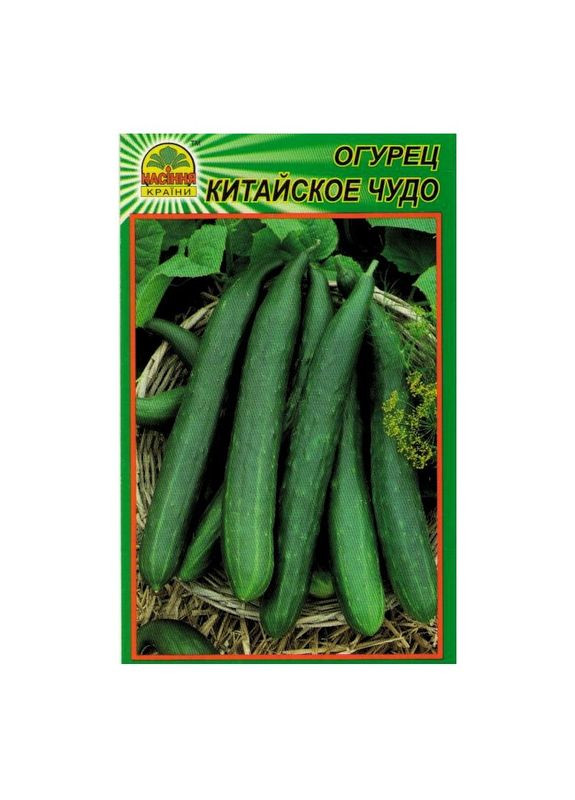 Семена огурца Китайское чудо 10 шт. ( ) Насіння країни (328606947)