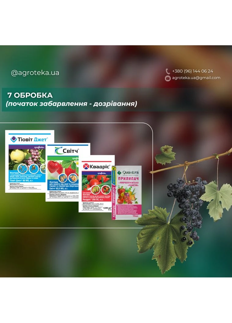 Набір обробки Винограду Syngenta (371638169)