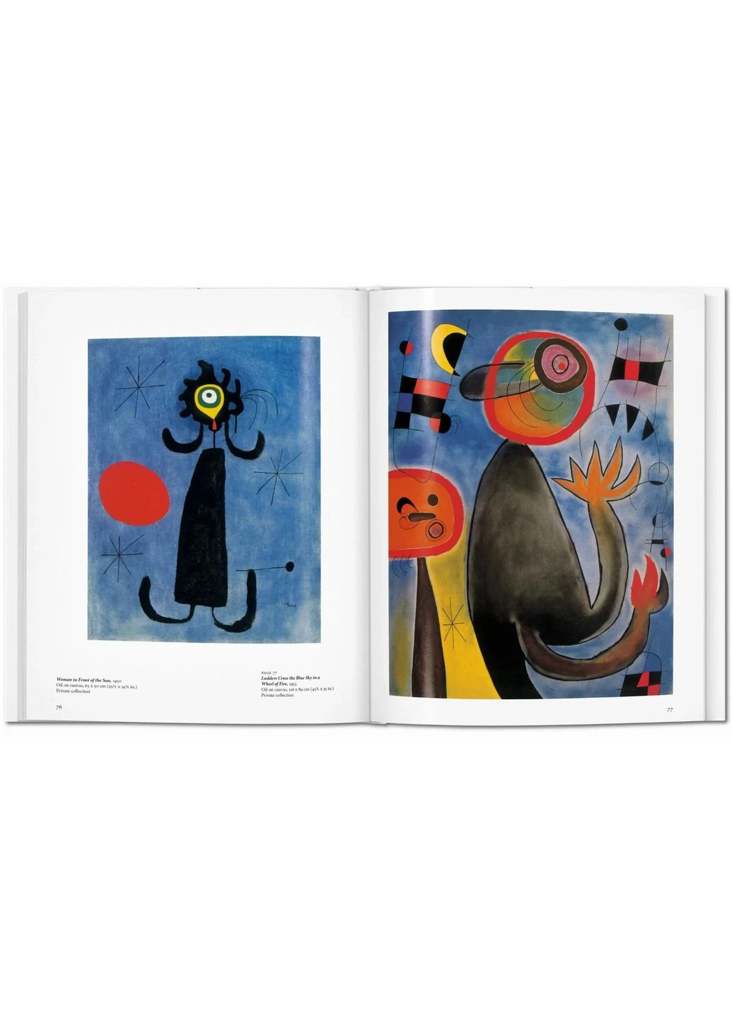 Miro Taschen (370059670)