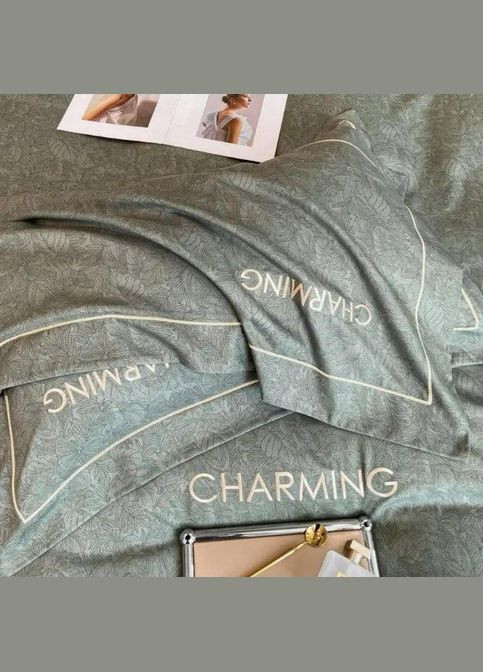 Байковая с начесом БАЙКА Турция хлопок Фланелева гипоаллергенная (ЕИР4002В) No Brand (306633214)