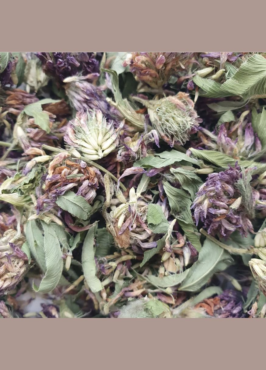 100 г клевер цвет/трава сушеная - свежий урожай No Brand (323223810)