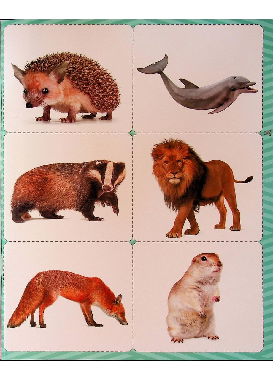 Поиграй с нами и запомни. Предметные карты. Короб Антонина Літера (354253672)