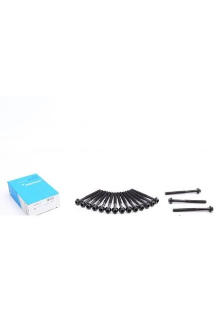 Комплект болтов с головкой системы TORX из черного металла MB 2.2D OM604 14-32033-01 Victor Reinz (366195655)