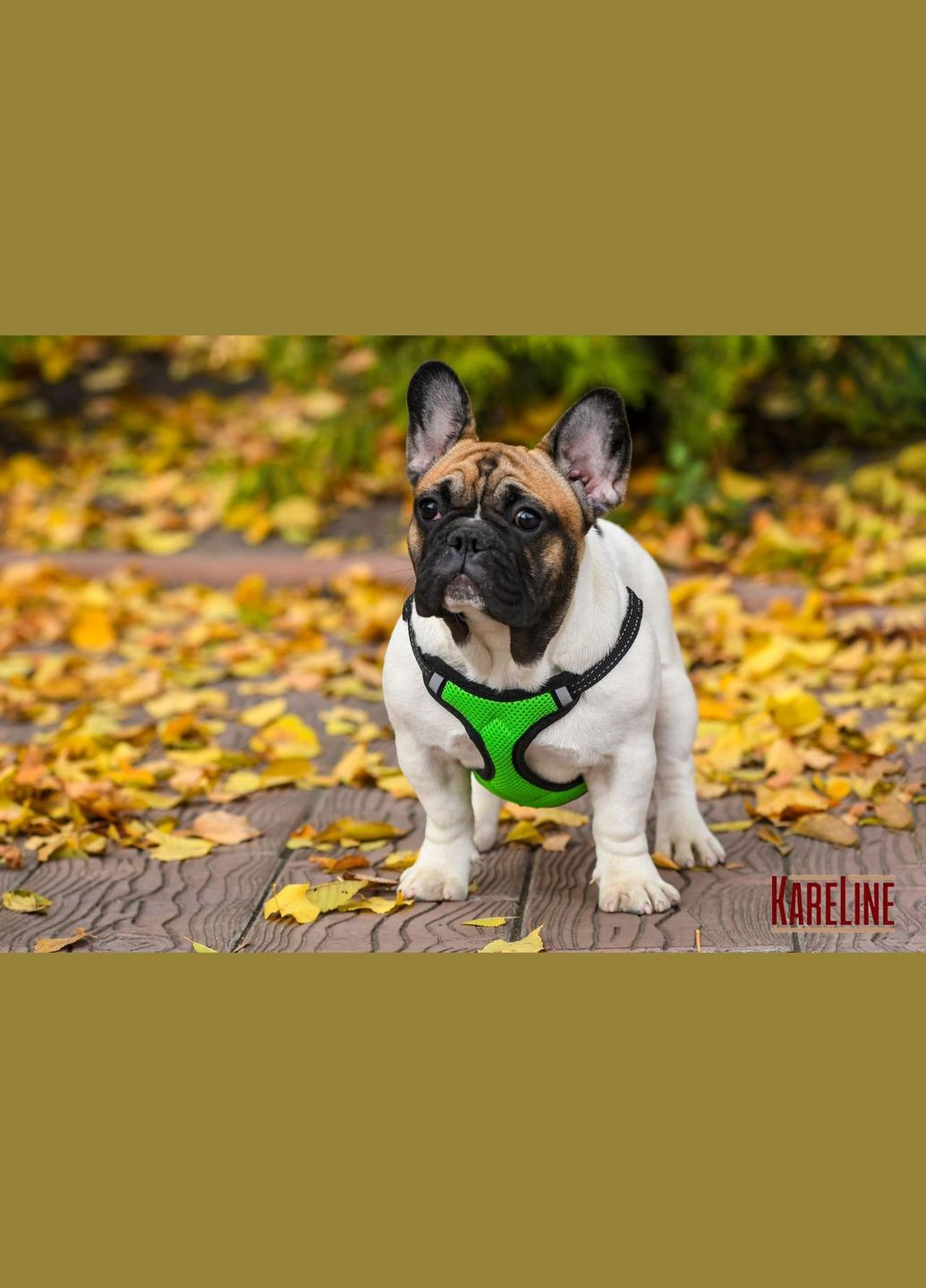 Шлей нагрудник из нейлона со светоотражающими элементами и пластиковой пряжкой 10 мм. Kareline (339075655)