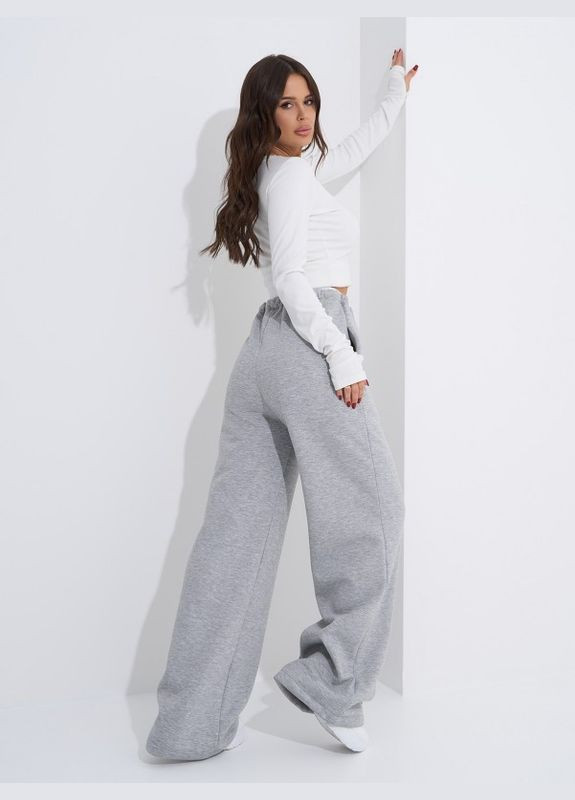 Спортивные штаны 14909 серые ISSA PLUS (317709114)