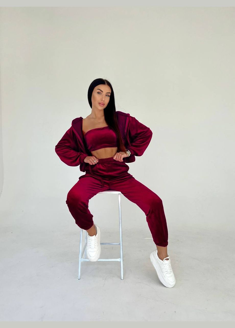 Костюм трійка велюровий Україна (316519700)